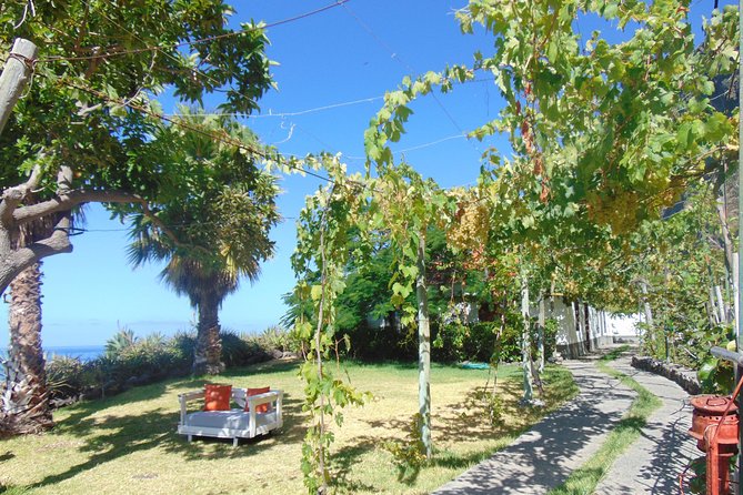 Incredible tour to a 'Faja' with a story - Fruit tasting and produce: why the food is the payoff