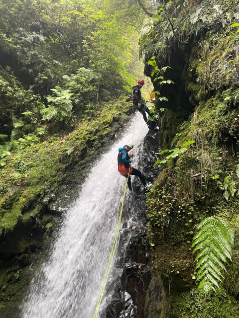 Intermediate Canyoning Madeira - 2.5 hours of intermediate canyoning: jumps, slides, and rappels that actually feel progressive