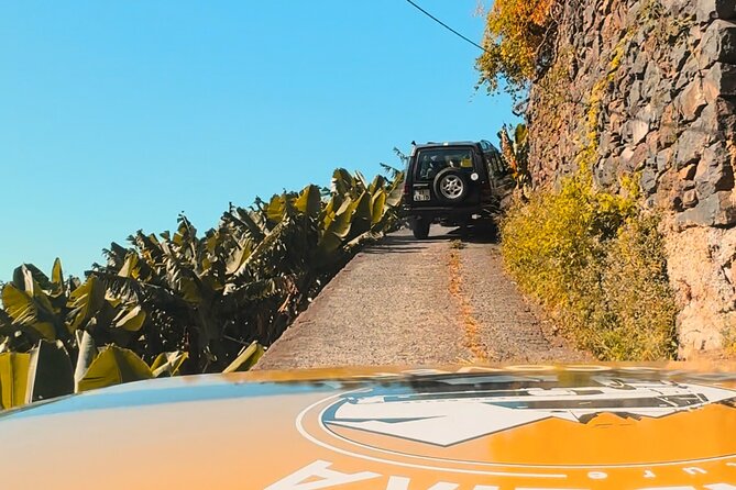 Jeep Safari 4x4 West Madeira - Porto Moniz - Fanal - Cabo Girão - Key Highlights You Should Know Before You Go