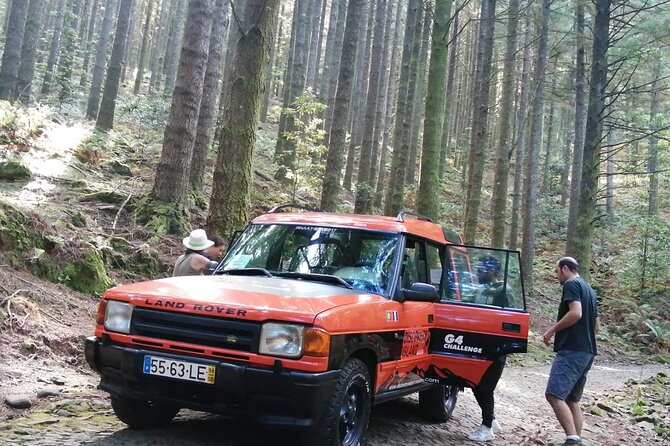 Jeep Safari in Pico Areeiro Santana Faial Full Day Tour - Ribeiro Frio and the Balcões viewpoint walk in the forest