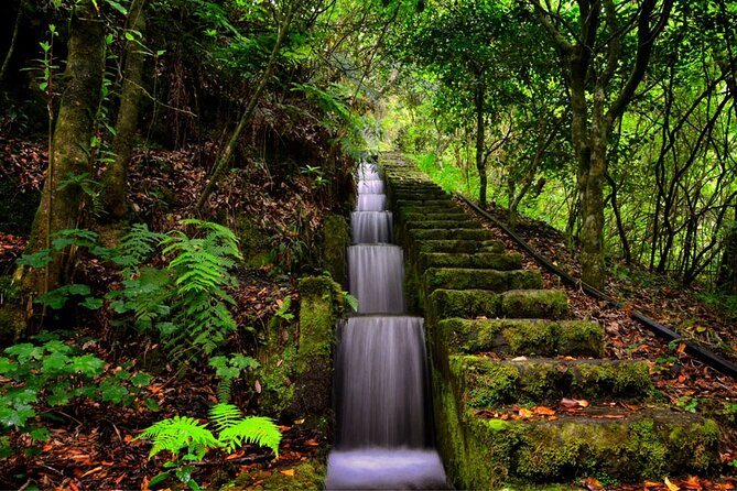 Jeep Safari in Pico Areeiro Santana Faial Full Day Tour - Queimadas: the off-road turn that adds adrenaline
