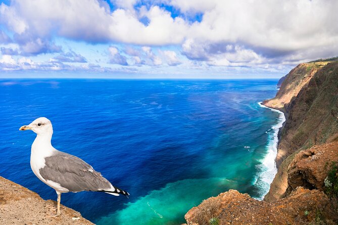 Jeep Safari in Southwest, Calheta and Ponta do Sol Full Day Tour - Madalena do Mar: Banana Country and a Pebble Beach Pause