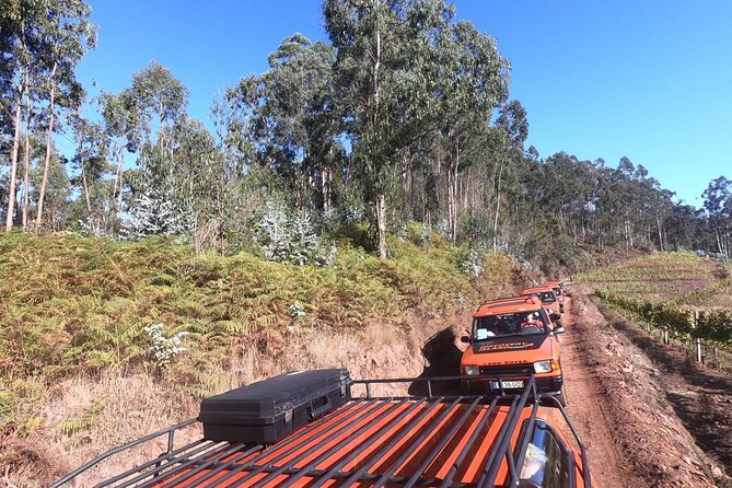 Jeep Tour Câmara de Lobos - Half day - Big Quinta and the Working Side of the Island