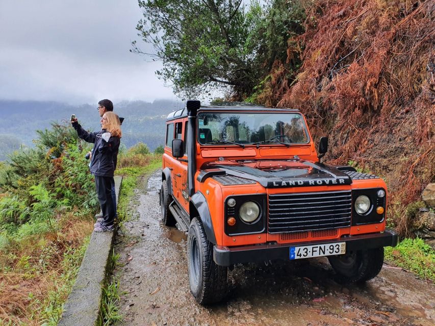 Jeep Tour Santana to East-Side - Ribeiro Frio and Laurissilva Forest, Madeira’s Living Green