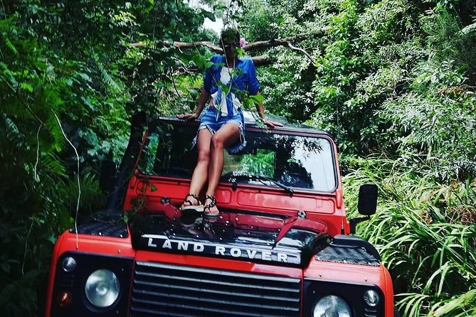 Jeep Tour To Santana: Old Forest Full-Day East-Side - Small-group Jeep comfort and pacing in Madeira