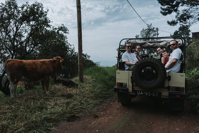 Jeep Tour To ,(Skywalk, Seixal, Porto Moniz, Fanal) - Seixal volcanic sand: a short stop that teaches you something real