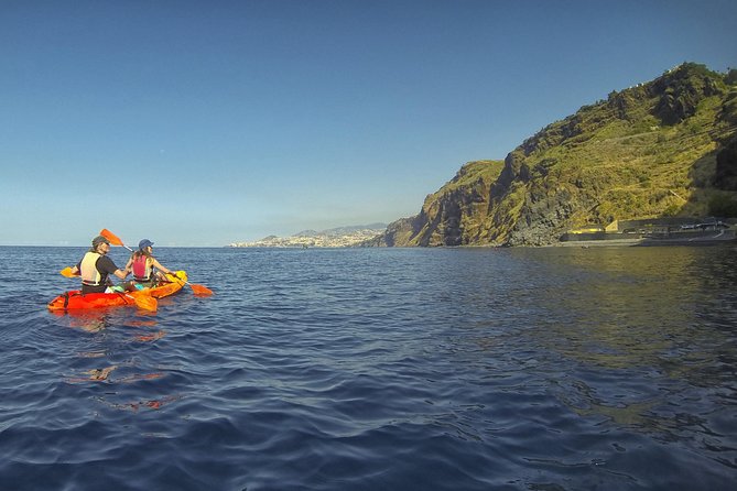 Kayak and Snorkeling Tour in Underwater Nature Reserve Garajau - Why this Garajau tour feels different from a basic snorkel