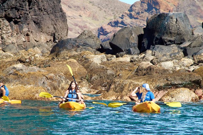 Kayak Experience @ Ponta de São Lourenço - Snorkeling or Swim Breaks, How to Think About It