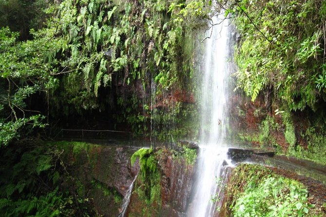 King's Levada / Ribeiro Bonito - Key things I’d focus on before you go