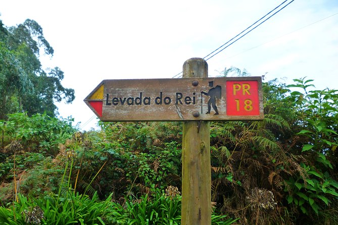 King's Levada / Ribeiro Bonito - Why Levada Walks Here Feel Different (and Why You’ll Want This One)
