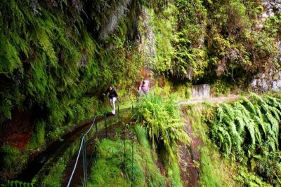 King’s Levada / Ribeiro Bonito