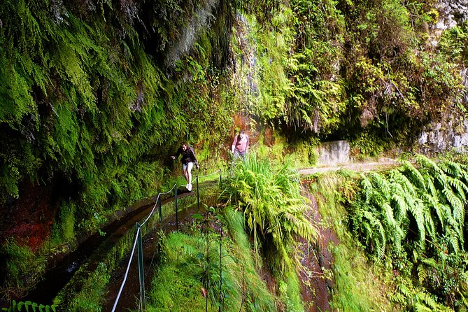 King's Levada / Ribeiro Bonito - 9:00 AM Pickup and the Timing That Makes the Walk Work