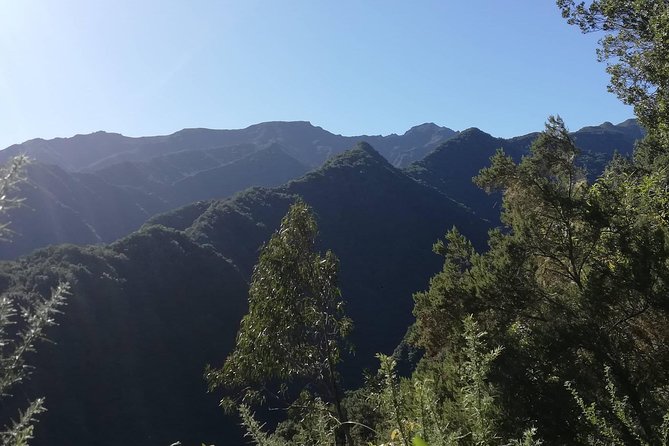 Kings Levada - São Jorge - Getting to the Trailhead with Air-Conditioned Pickup from Funchal