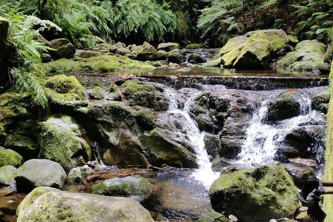 Kings Levada - São Jorge - Pacing and Fitness: Is This Kings Levada Hike for You?
