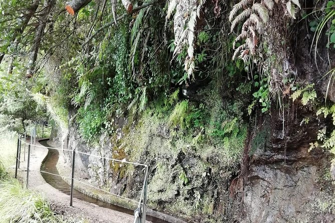 Kings Levada - São Jorge - Price and Value: What You Really Get for Around $54