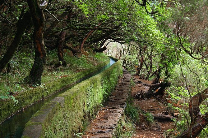Kings Levada - The walk itself: 2 hours out, 2 hours back, and what you’ll cover
