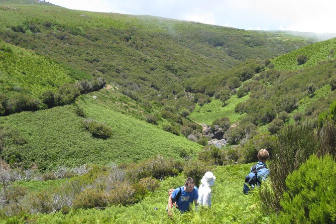 Lakes of Madeira- Alecrim Full day walk - The walk experience, from levadas to mountain tracks