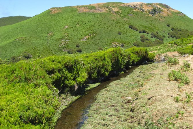 Lakes of Madeira- Alecrim Full day walk - Price and value: is $52.05 fair for this day hike?