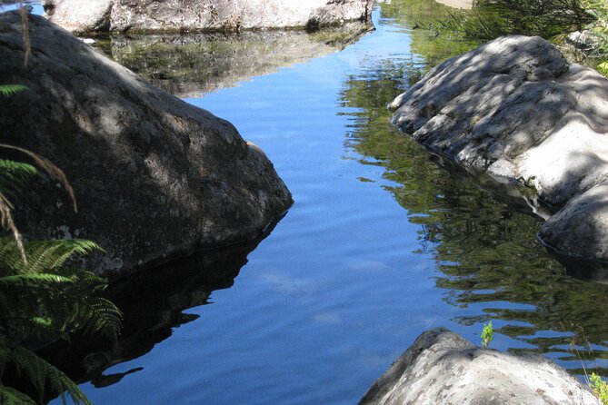 Lakes of Madeira- Alecrim Full day walk - Who should book the Alecrim full day walk?