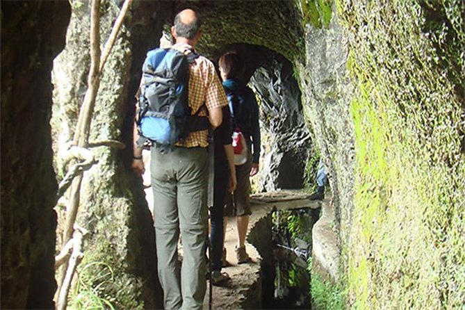 Laurissilva Forest Walk - Laurissilva Forest Walk, the Madeira Way: What You’re Actually Signing Up For