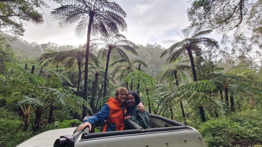 Let-Me-Surprise-You Madeira Full Day Private Tour - Key things that make this tour work so well