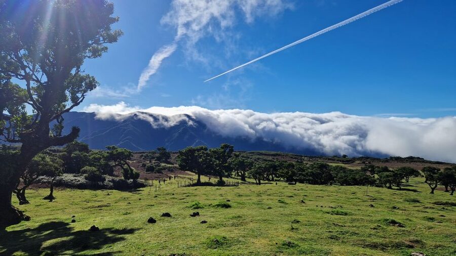 Let-Me-Surprise-You Madeira Full Day Private Tour - Food and drinks: how to handle local stops without surprises
