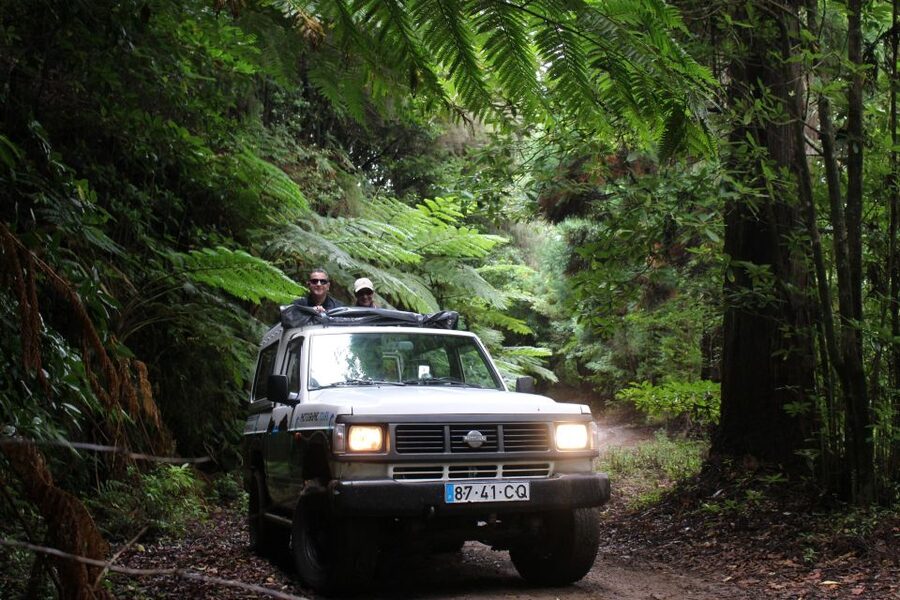 Let-Me-Surprise-You Madeira Full Day Private Tour - Microclimates on Madeira, why the route changes every day