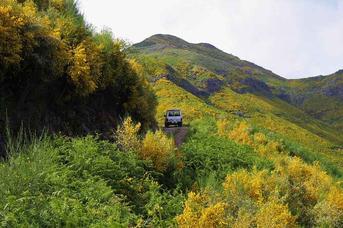 Let-Me-Surprise-You Private Full-Day Tour in All Terrain Vehicle - Price and Value for a Group of Up to 3