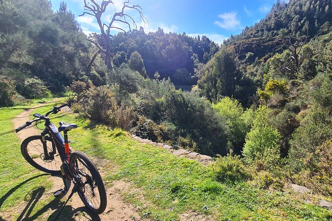 Levada da Camacha Trail by E-Bike - Key Highlights You’ll Care About