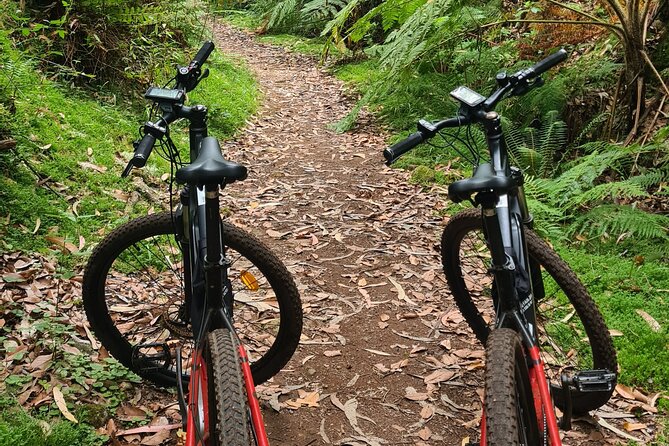 Levada da Camacha Trail by E-Bike - Levada da Serra do Faial: Farmland Beginnings and a Green Trail