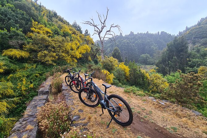 Levada da Camacha Trail by E-Bike - Santo Antonio da Serra and Machico Area Flavor: Farms, Town Center, and Pace Change