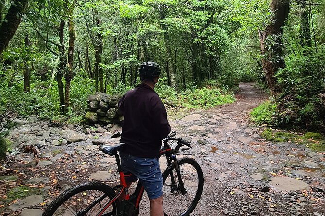 Levada da Camacha Trail by E-Bike - Clube de Golf Santo da Serra and Miradouro do Campo de Golfe: East Coast Views