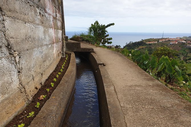 Levada da Referta - Castelejo - Comfort Tips for a Two-Hour Levada Walk in Madeira