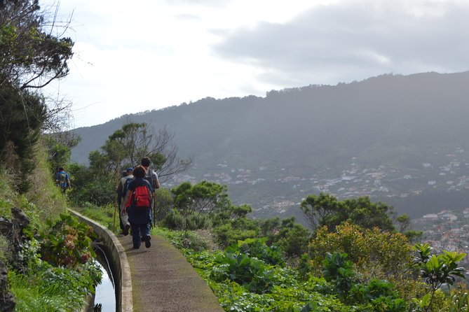 Levada da Referta - Castelejo - Price and Value: What You Get for Around $42