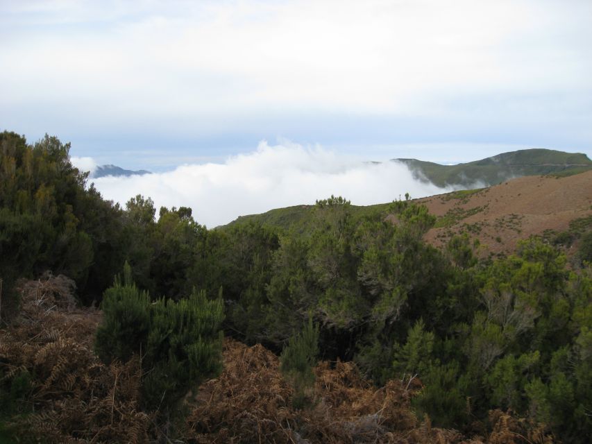 Levada do Alecrim (Madeira Lakes) Full-day walk - Getting from Funchal to Paul da Serra, with insurance and a real outdoors start