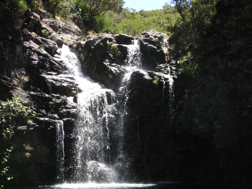 Levada do Alecrim (Madeira Lakes) Full-day walk - Lunch break at the lake: the cool swim option