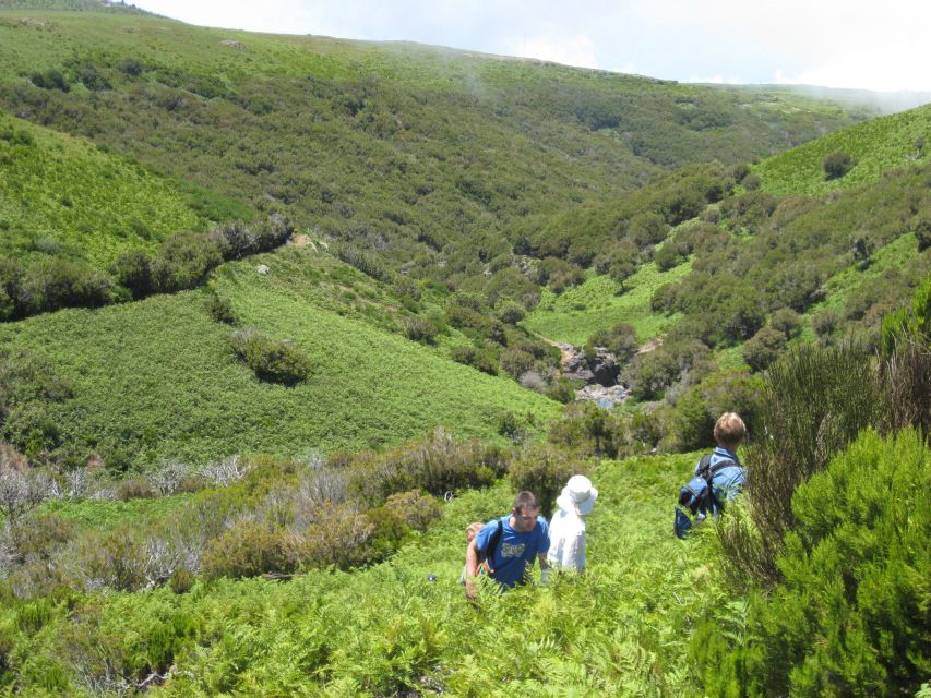 Levada do Alecrim (Madeira Lakes) Full-day walk - Price, gear, and how to pack a pack lunch for a full day