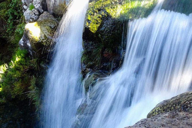Levada do Alecrim - Rosemary Levada (Full Day Walk) - Key highlights to look for