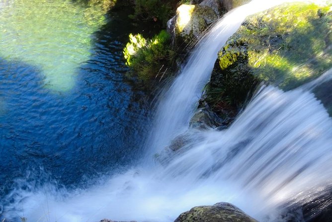 Levada do Alecrim - Rosemary Levada (Full Day Walk) - Rosemary Levada, the easy way to enjoy a real Madeira walking route