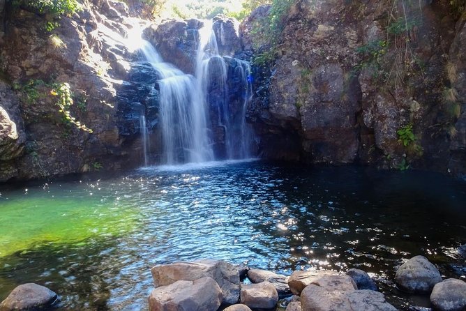 Levada do Alecrim - Rosemary Levada (Full Day Walk) - Walking along Levada do Alecrim: what the day really feels like