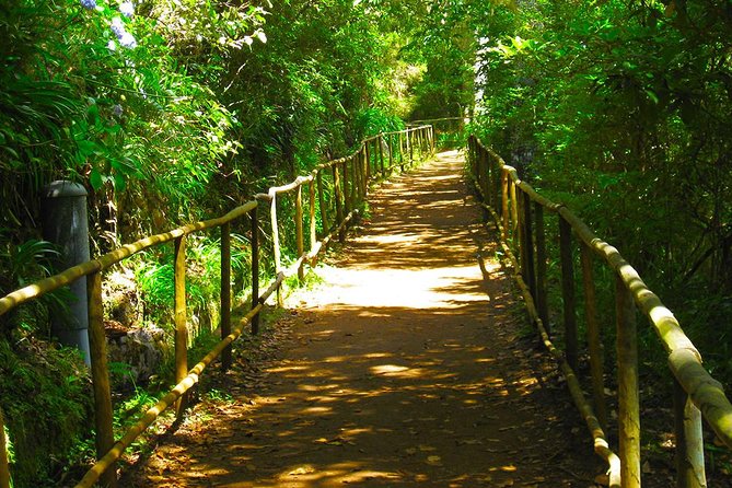 Levada do Caldeirão Verde Levada Walk from Funchal - Key highlights you should know before you go