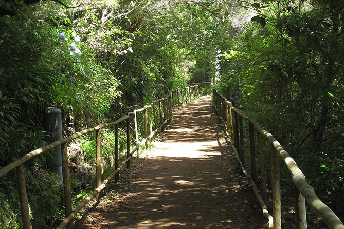 Levada do Caldeirão Verde Levada Walk from Funchal - Price and value: what you get for around $51.66