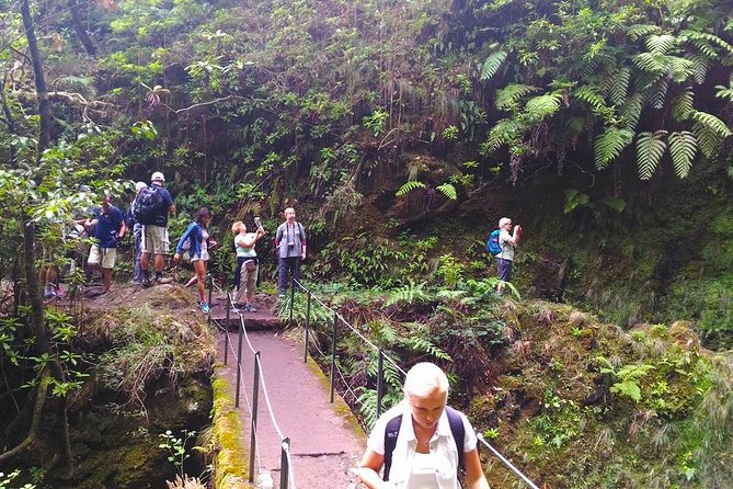 Levada do Caldeirão Verde Levada Walk from Funchal - The Queimadas start and the first views over São Jorge