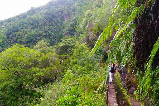 Levada do Caldeirão Verde Levada Walk from Funchal - Caldeirão Verde waterfall and the picnic stop you should plan around