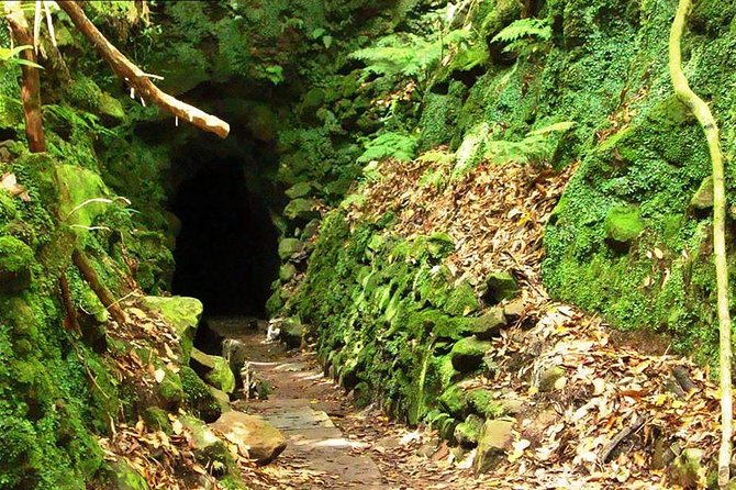 Levada do Caldeirão Verde Levada Walk from Funchal - Getting to the trail: pickup, start time, and the Santana connection