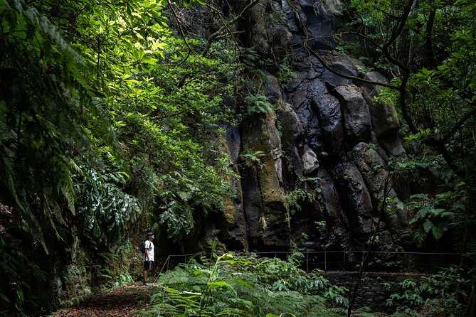 Levada do Caldeirão Verde Self-Guided Hike in Madeira - Key highlights you will care about