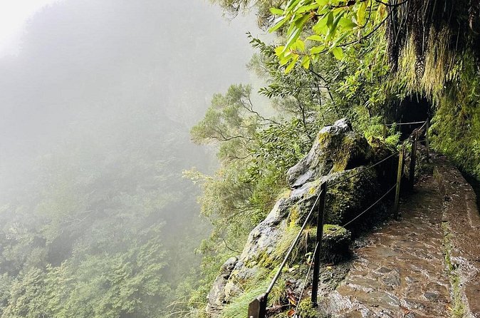 Levada do Caldeirão Verde Self-Guided Hike in Madeira - The realistic trail check: rough spots, narrow paths, and sheer-drop moments
