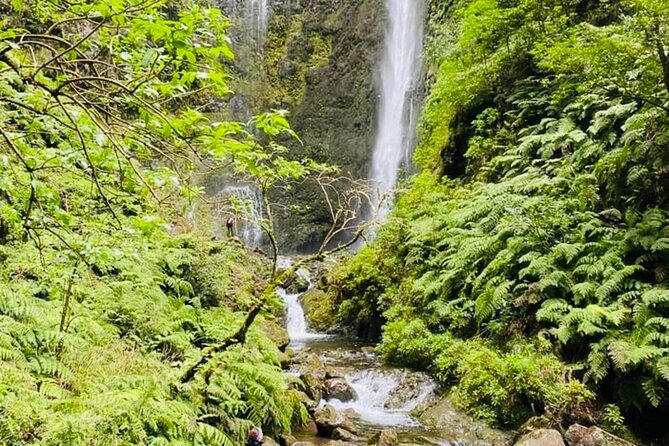 Levada do Caldeirão Verde Self-Guided Hike in Madeira - Price and what you actually get for $48.27