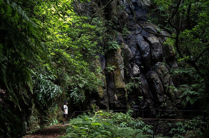Levada do Caldeirão Verde Self-Guided Hike in Madeira - Who should book this levada hike with pickup?
