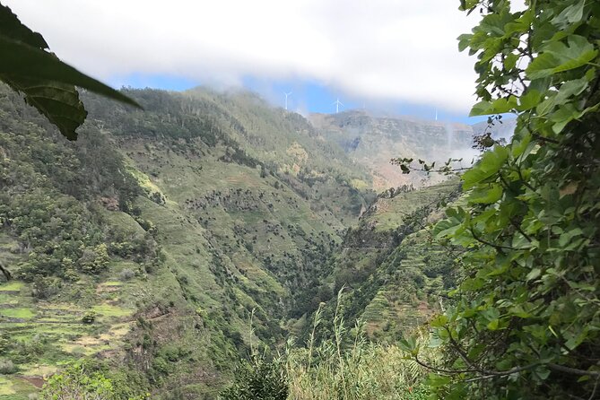 Levada do Moinho and Levada Nova - Private - The Switch Between Systems: Steps That Change Your Mood